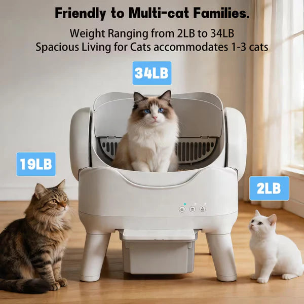 Open-Top Self-Cleaning Automatic Cat Litter Box